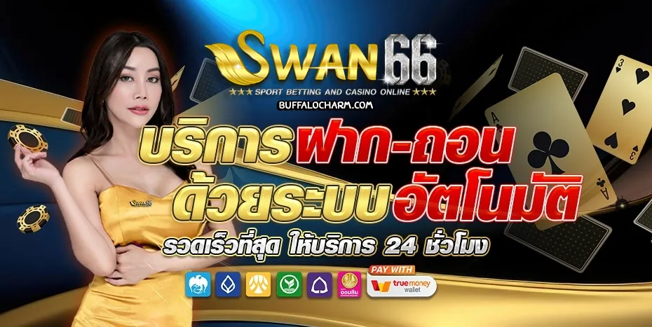 swan66